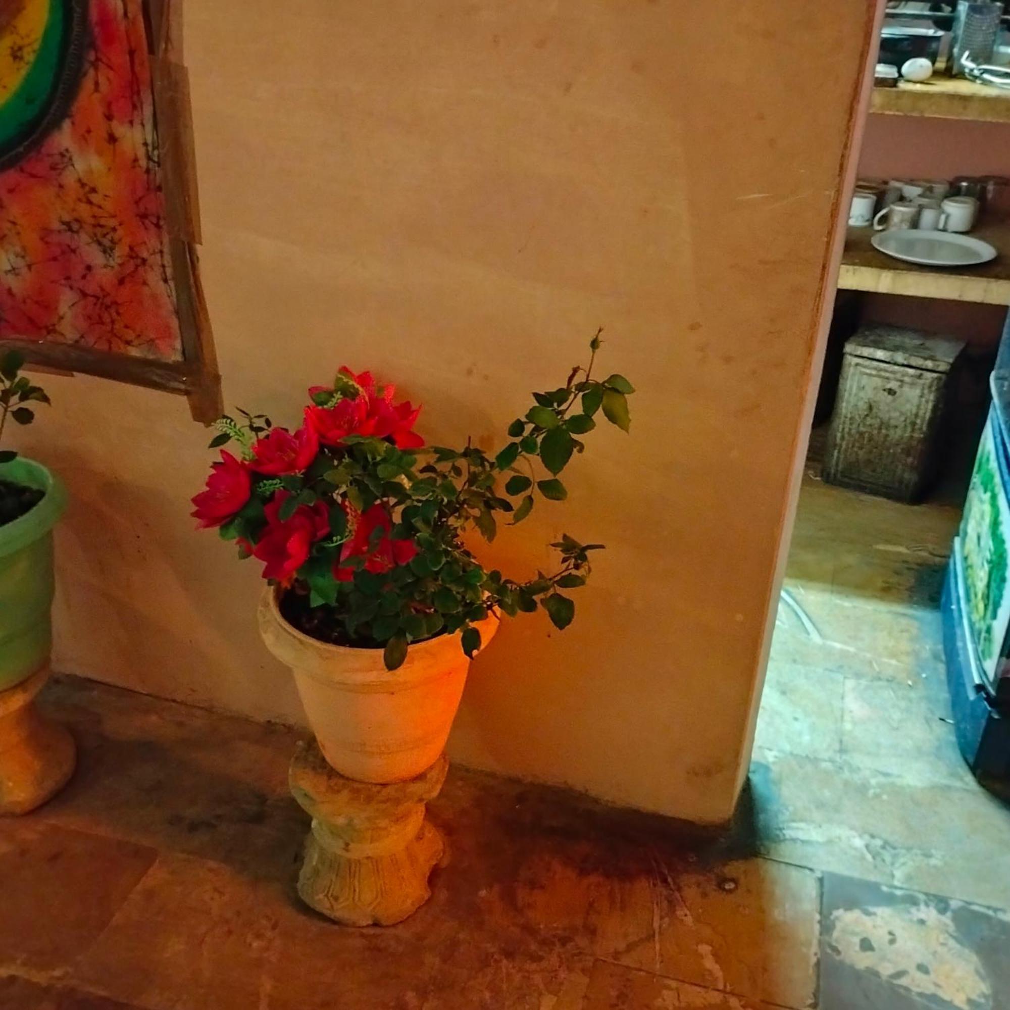 جيلسامر Hostel Desert Home Stay المظهر الخارجي الصورة
